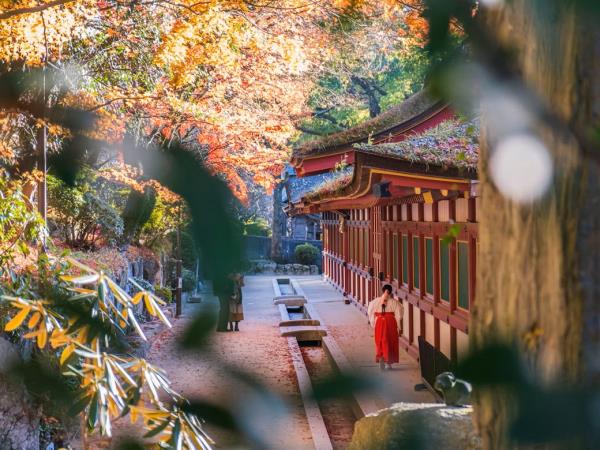 South Korea and Japan luxury holiday