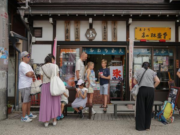 2 week Japan family holidays