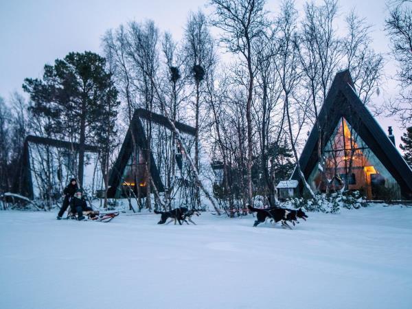 Arctic winter adventure holiday