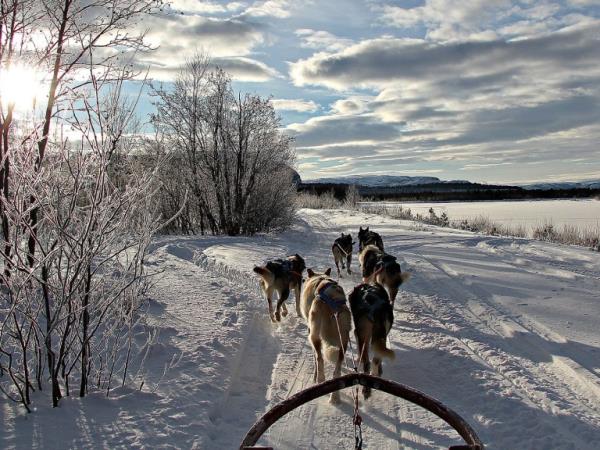 Arctic winter adventure holiday