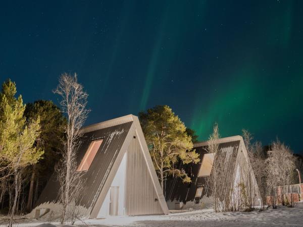 Arctic winter adventure holiday