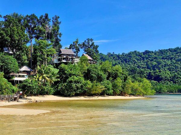 Borneo with teenagers holiday