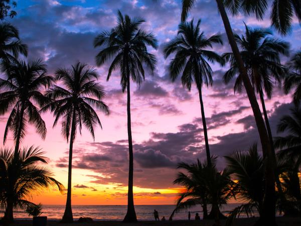 Costa Rica honeymoons