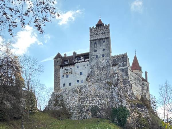 Wolf tracking holiday in Romania