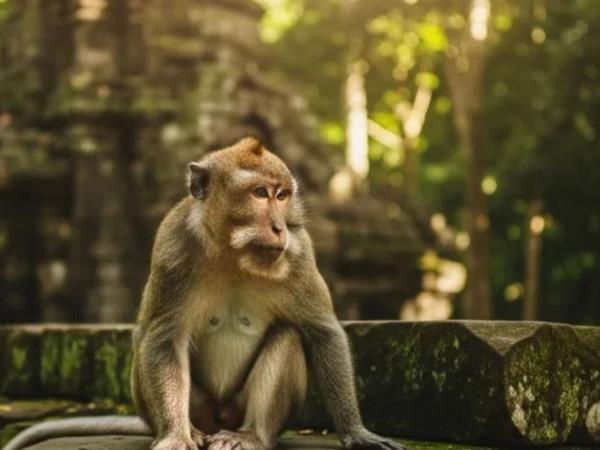 Vietnam, Cambodia and Laos tour