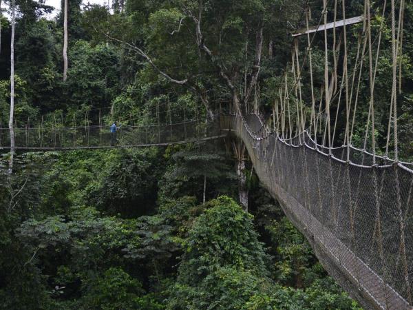 Ghana & Ivory Coast holiday