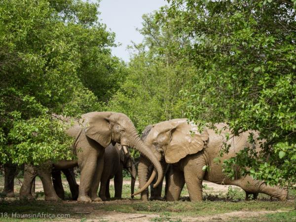 Best of Ghana holidays
