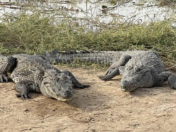 Best of Ghana holidays
