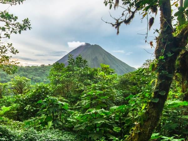 Costa Rica self drive holiday, natural history