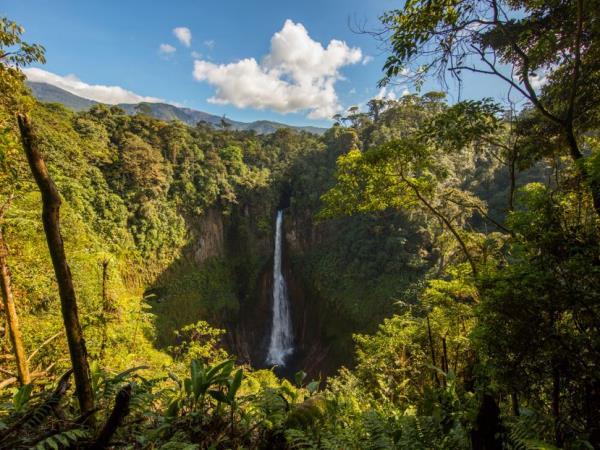 Costa Rica self drive holiday, natural history