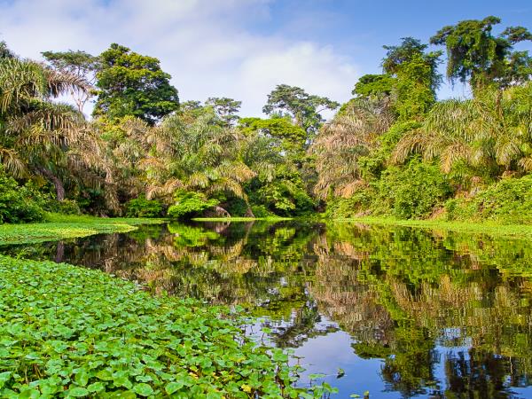 Costa Rica self drive holiday, natural history