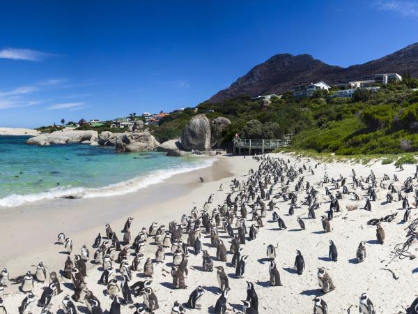 South Africa luxury tailor made holiday