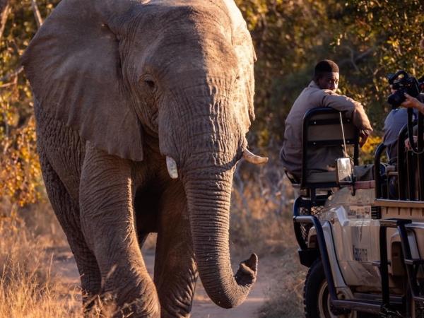 South Africa luxury tailor made holiday