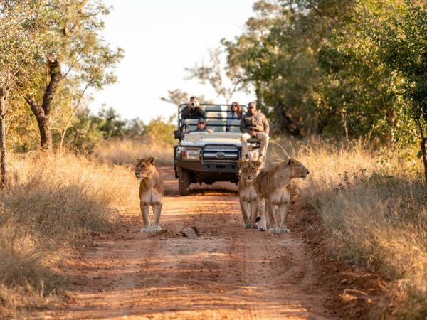 South Africa luxury tailor made holiday