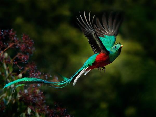 Costa Rica national parks tour