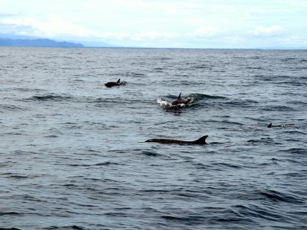 Costa Rica national parks tour