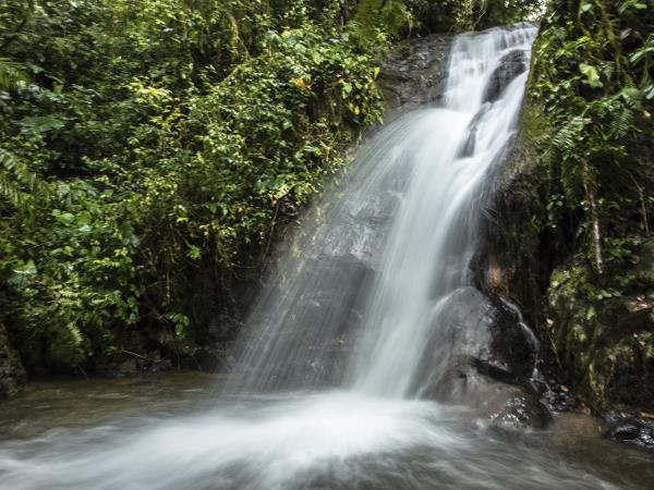 Ecuador highlights & Galapagos island hopping holiday