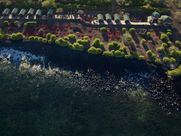 Ecuador highlights & Galapagos island hopping holiday