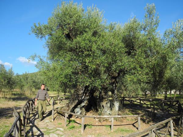 Umbria small group walking holiday