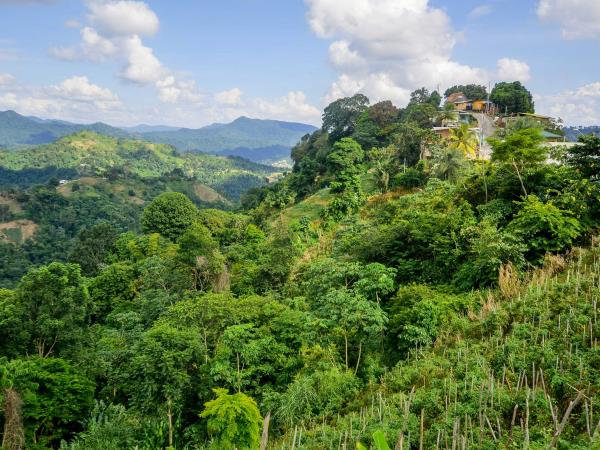 Trinidad & Tobago nature holiday