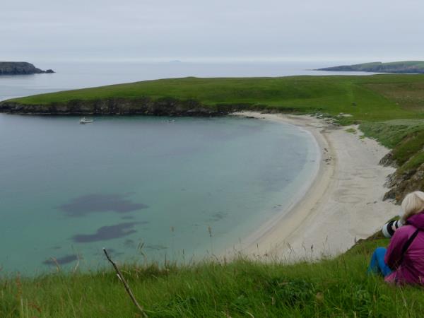 Shetland wildlife holiday, Scotand