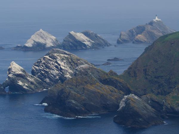 Shetland wildlife holiday, Scotand