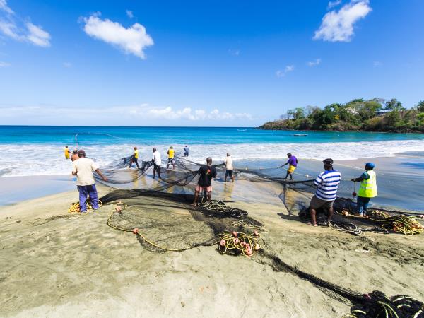 Trinidad & Tobago tours, tailor made