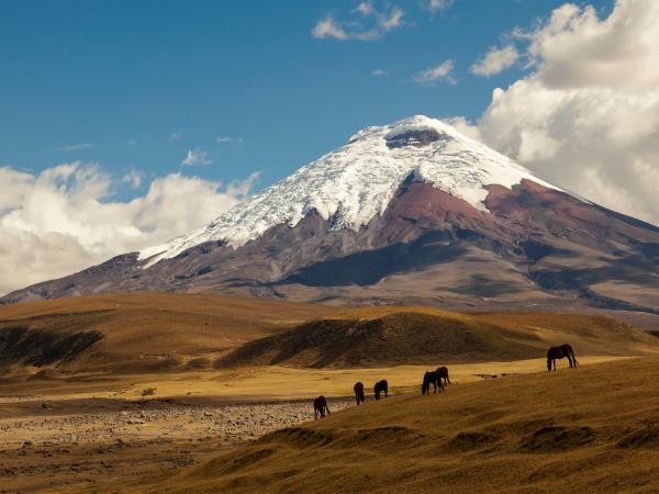 Ecuador walking holiday, tailormade