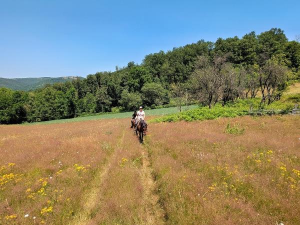 Serbia horse riding holiday, Taor Trail