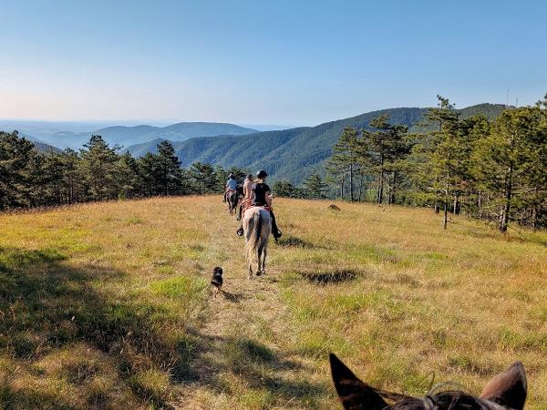 Serbia horse riding holiday, Taor Trail