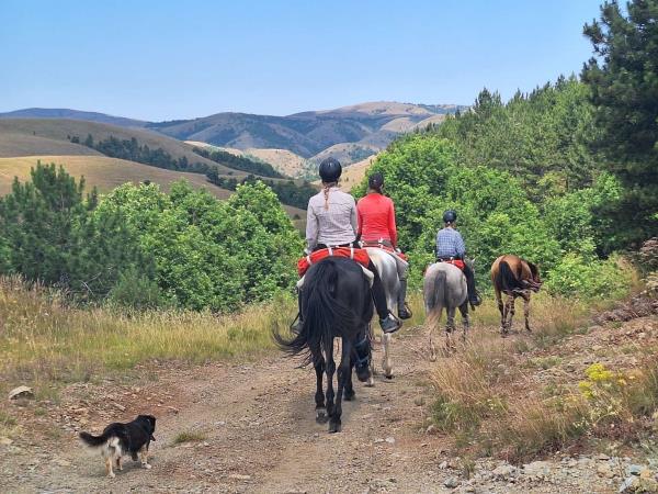 Serbia horse riding holiday, Taor Trail