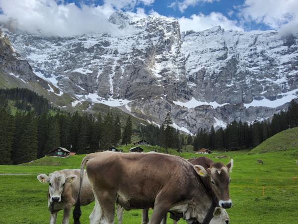 Switzerland walking short break