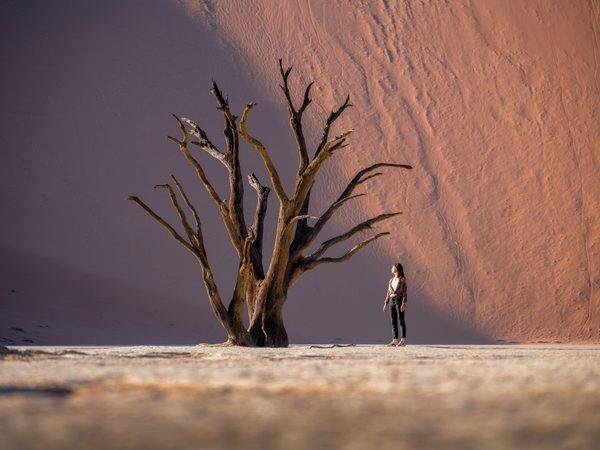 2 week self-drive in Namibia