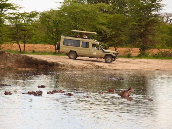 Southern Tanzania safari and Zanzibar holiday