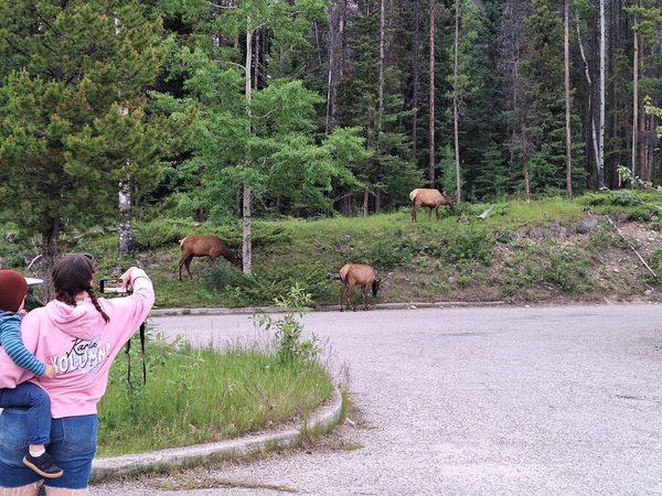 West Canada self drive family holiday