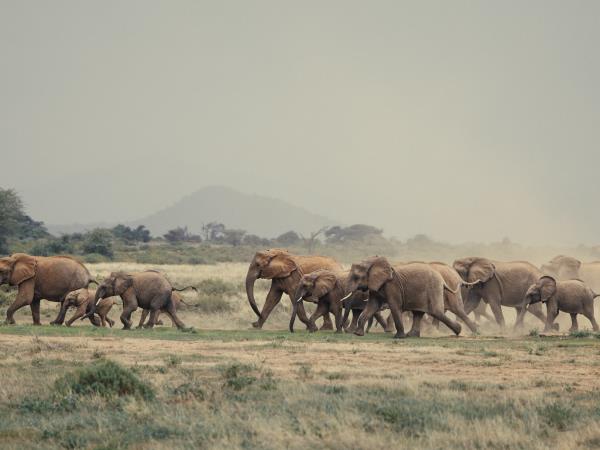 Kenya culture and wilderness safari holiday