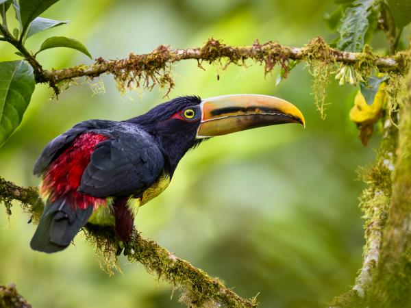 Galapagos & Ecuador tailor made holidays