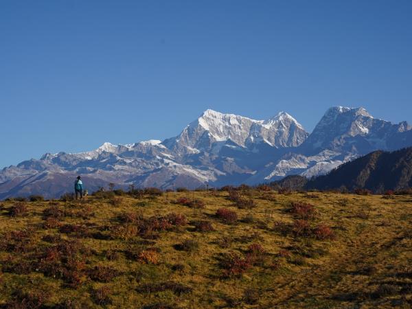 Nepal wellness retreat
