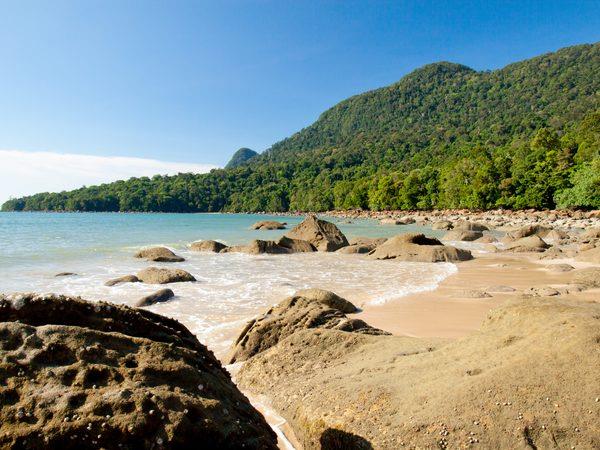 Borneo with teenagers holiday