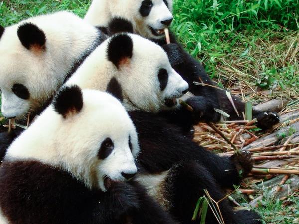 China 2 week holiday by rail