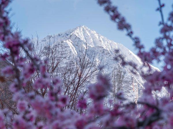 Pakistan in spring tour, blossoms and heritage 