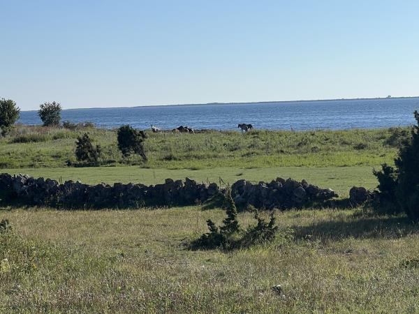 Estonia wellness holiday