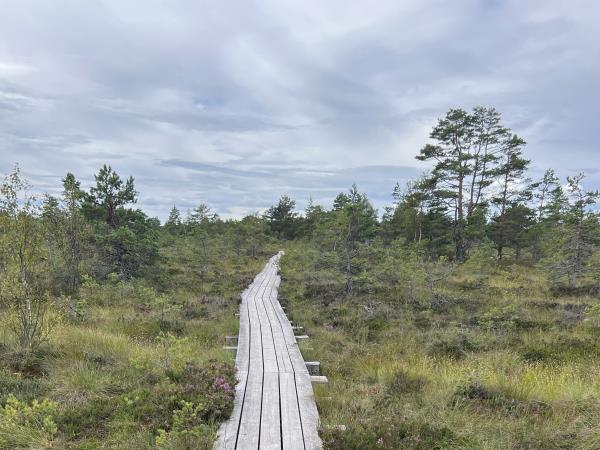 Estonia wellness holiday