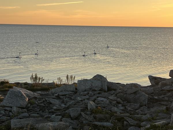 Estonia wellness holiday