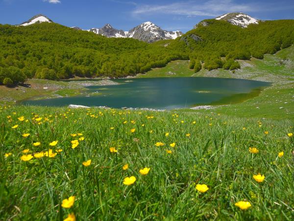 Italy wildlife holiday, Abruzzo