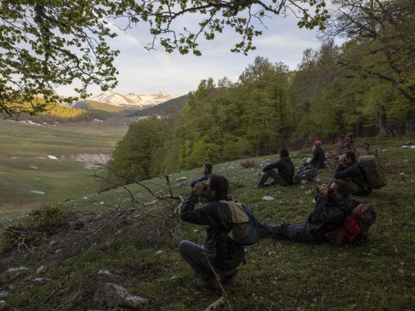 Italy wildlife holiday, Abruzzo