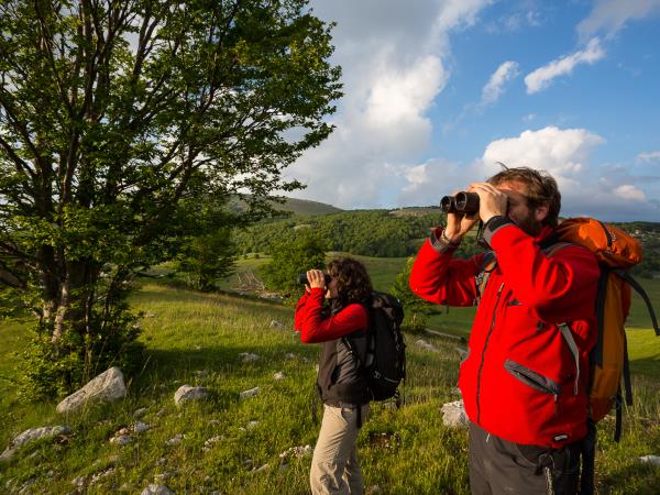 Italy wildlife holiday, Abruzzo
