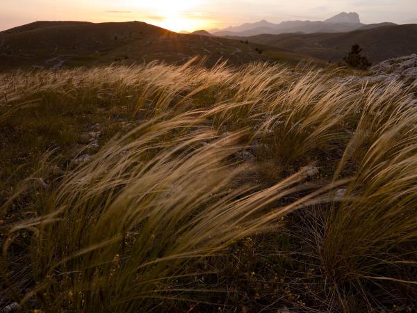 Italy wildlife holiday, Abruzzo