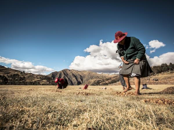 Brazil, Argentina & Peru holiday