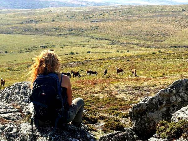 Hiking and yoga retreat in Portugal